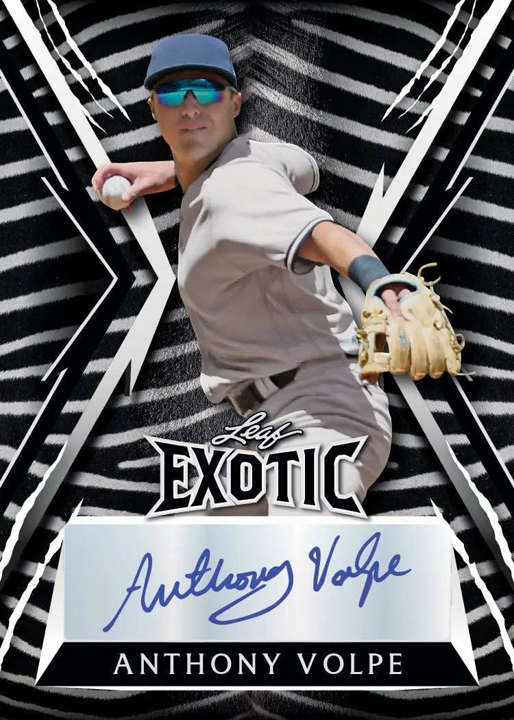 2023 Leaf Exotic Baseball Hobby Box - Columbia Hobby - Sports Card Boxes - Toploaders - Card Savers