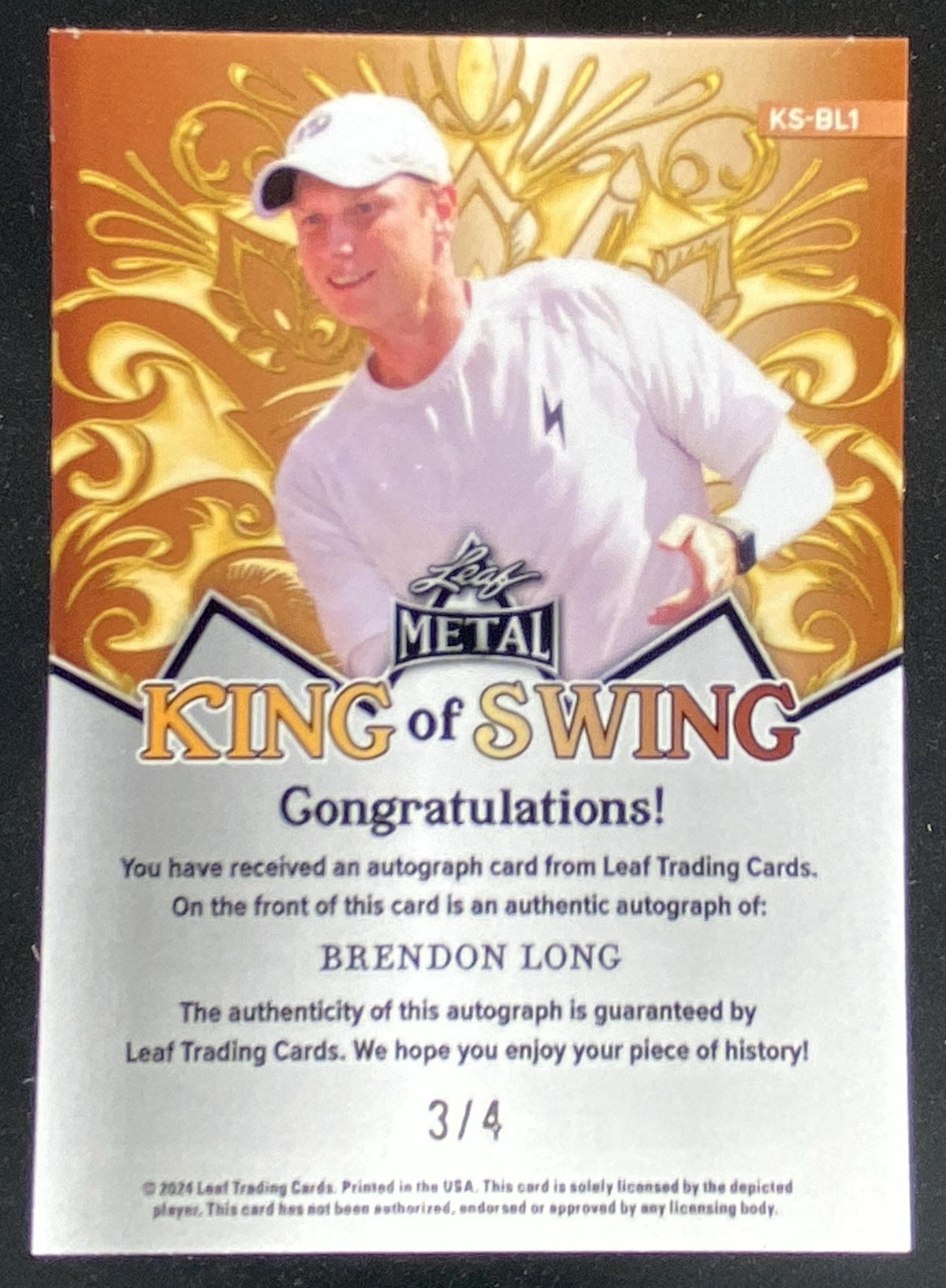 2024 Leaf Metal Pickleball Brendon Long trading card