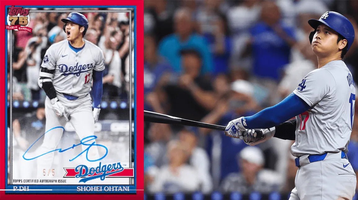 Baseball Trading Card Boxes | Columbia Sports Cards