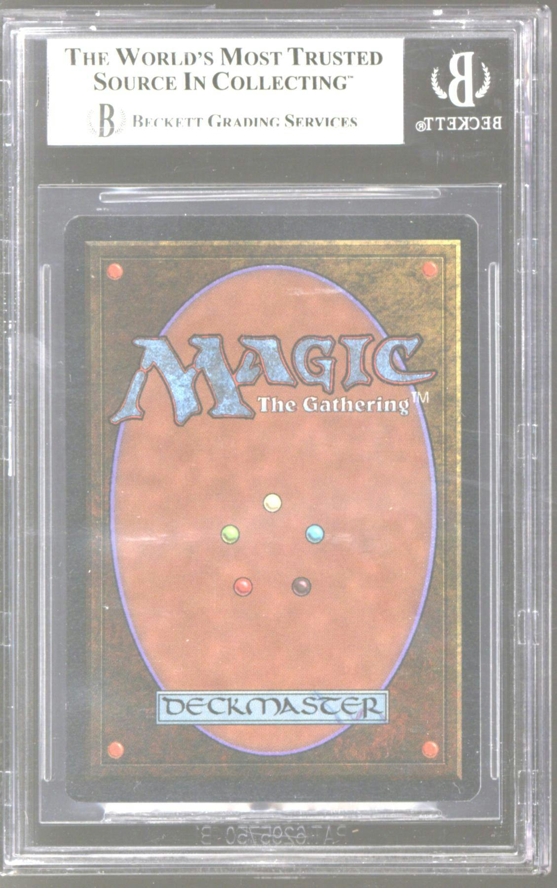2024 Leaf Decadence Multi - Sports Hobby - Columbia Hobby - Sports Card Boxes - Toploaders - Card Savers