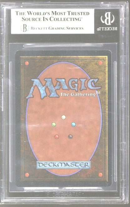 2024 Leaf Decadence Multi - Sports Hobby - Columbia Hobby - Sports Card Boxes - Toploaders - Card Savers