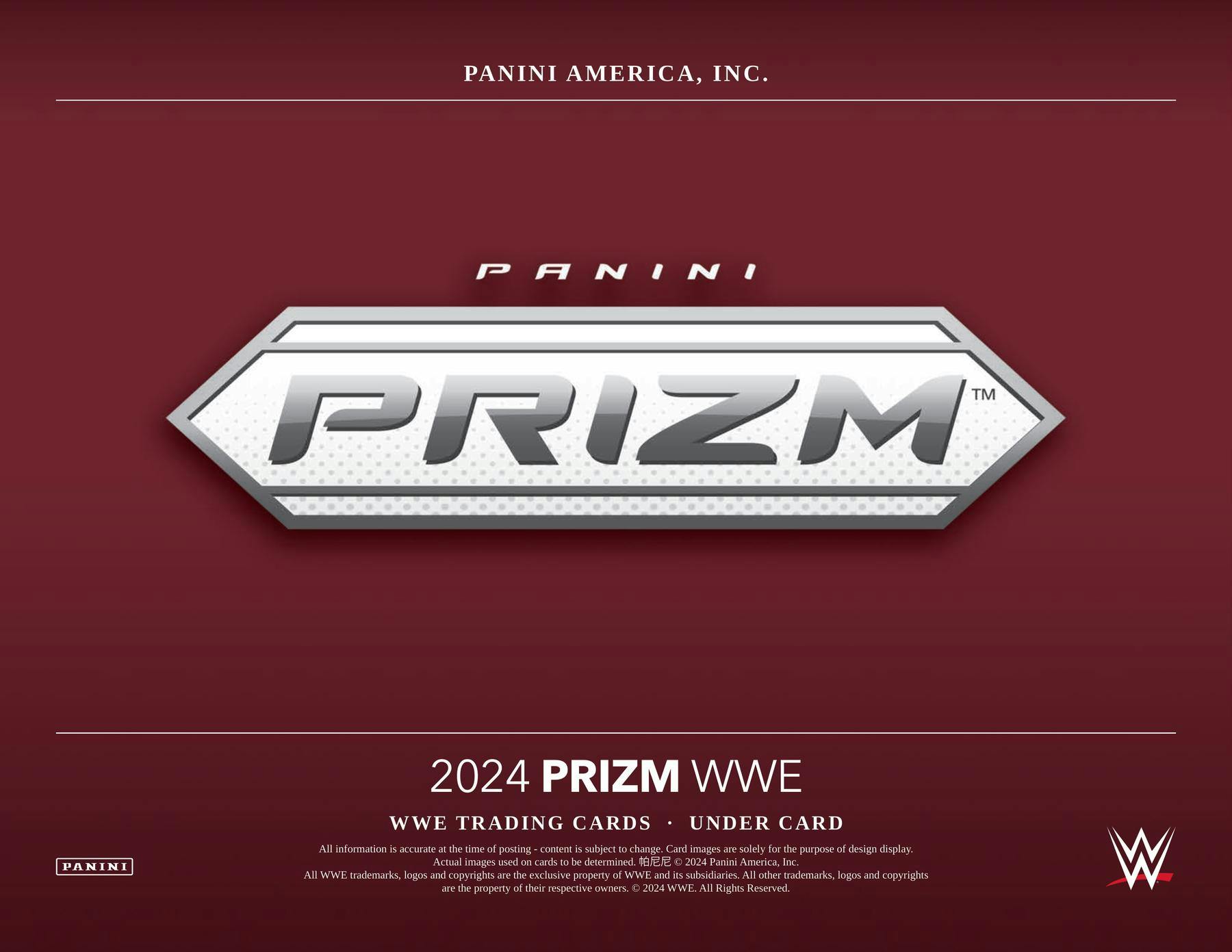 2024 Panini Prizm WWE Wrestling Under Card Box - Columbia Hobby - Sports Card Boxes - Toploaders - Card Savers