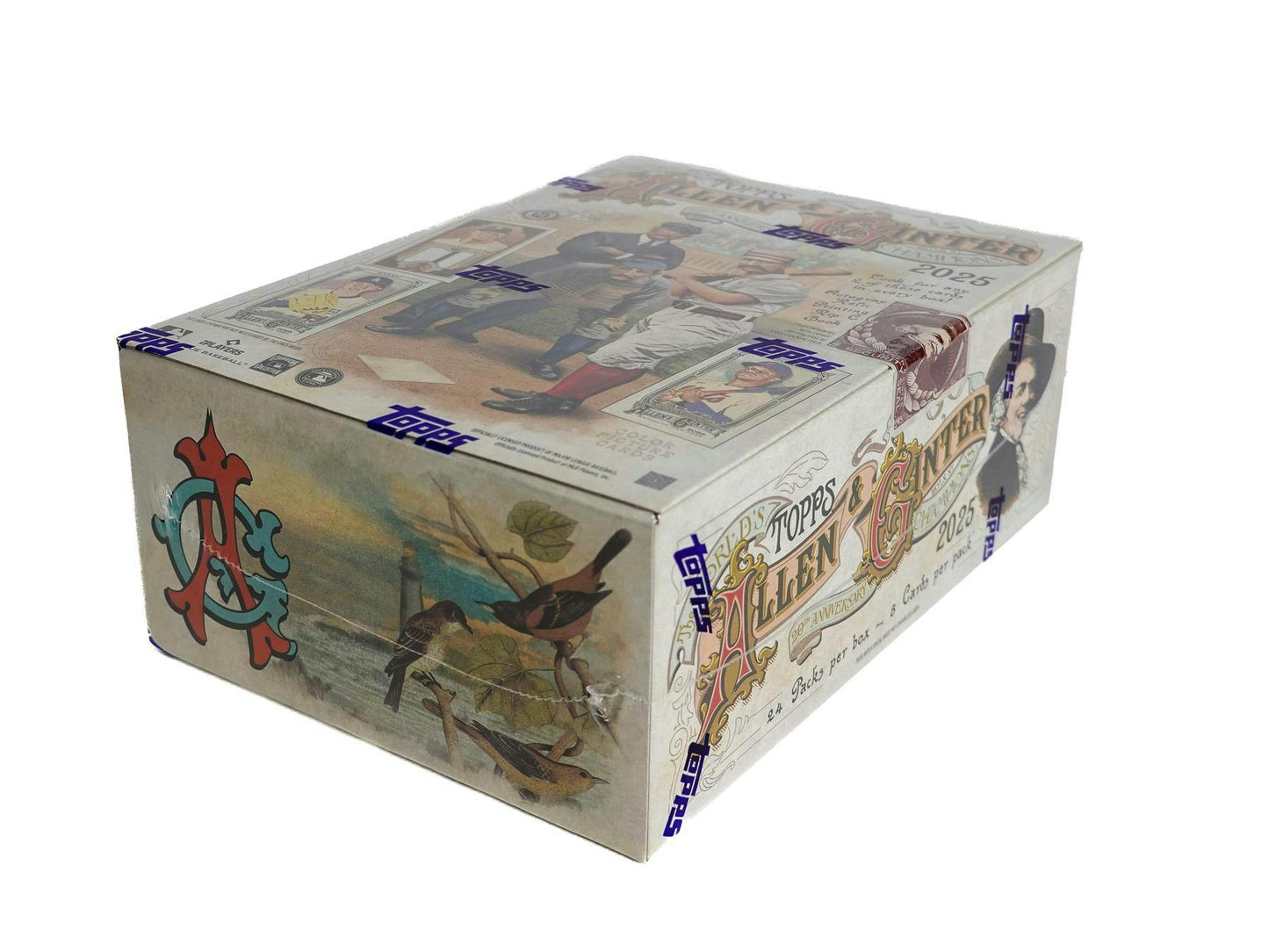 2025 Topps Allen & Ginter Baseball Hobby Box | Columbia Sports Cards - Columbia Hobby - Sports Card Boxes - Toploaders - Card Savers