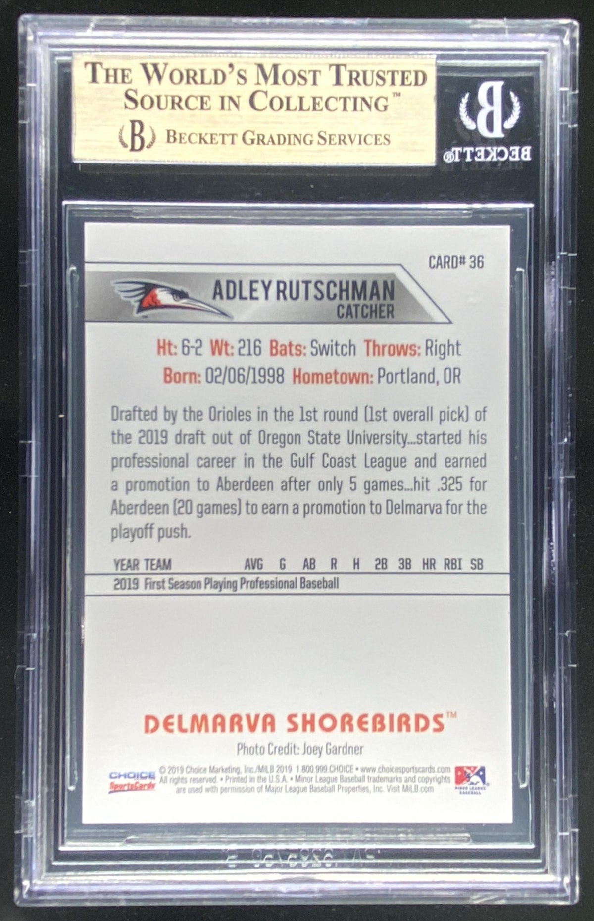 2019 Choice Delmarva Shorebirds Update Adley Rutschman #36 graded BGS 9.5 trading card