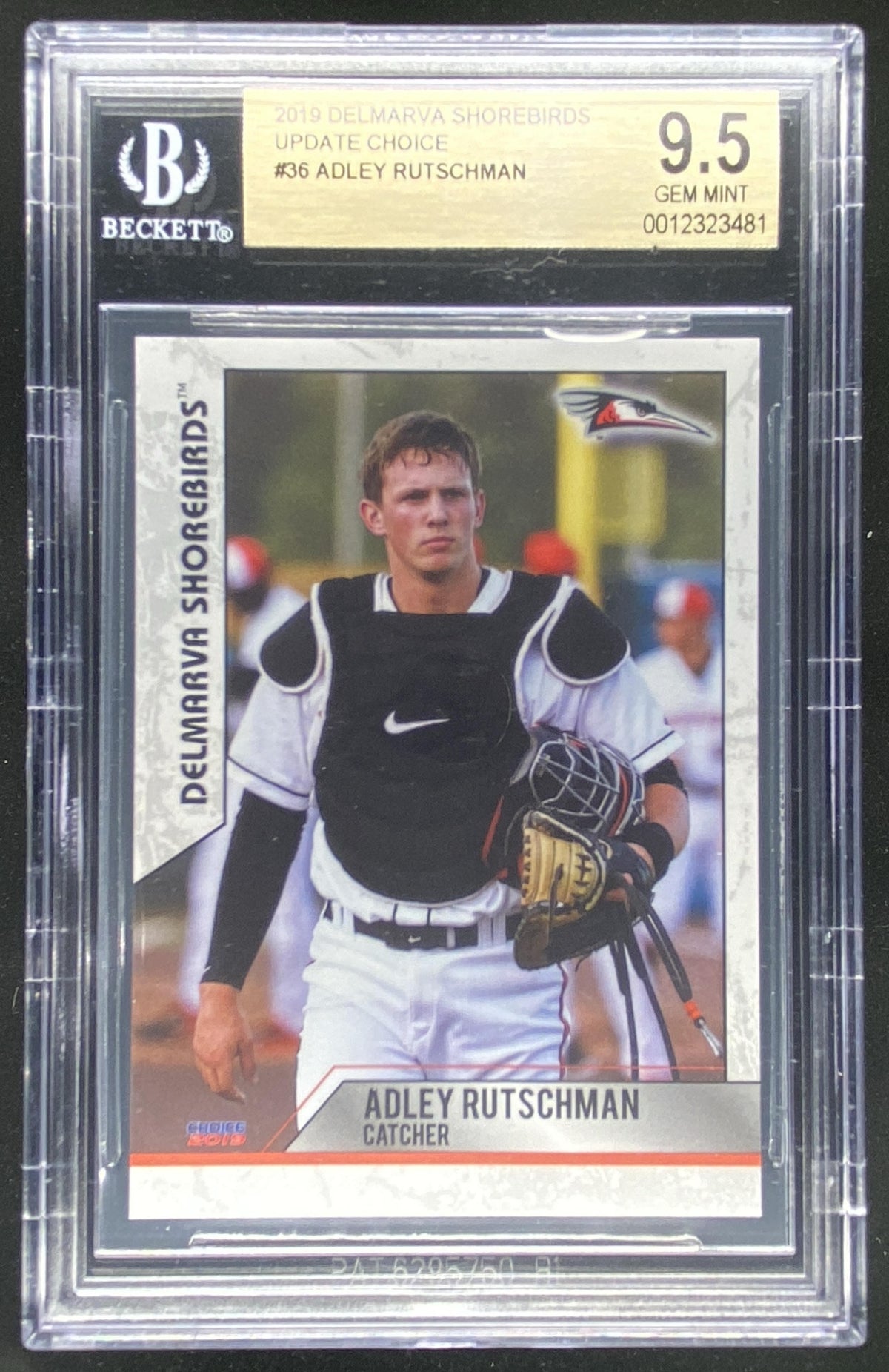2019 Choice Delmarva Shorebirds Update Adley Rutschman #36 graded BGS 9.5 trading card