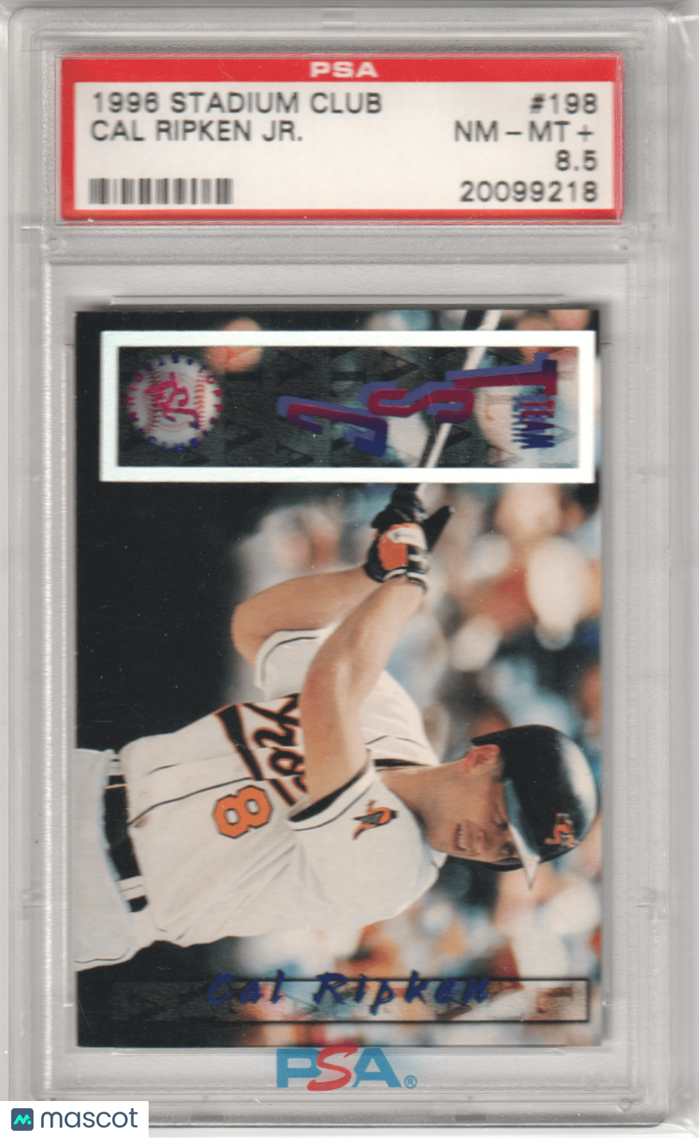 CAL RIPKEN JR. 1996 Topps Stadium Club 198 PSA 8.5 NM - MT+ - ORIOLES - Columbia Hobby - Sports Card Boxes - Toploaders - Card Savers