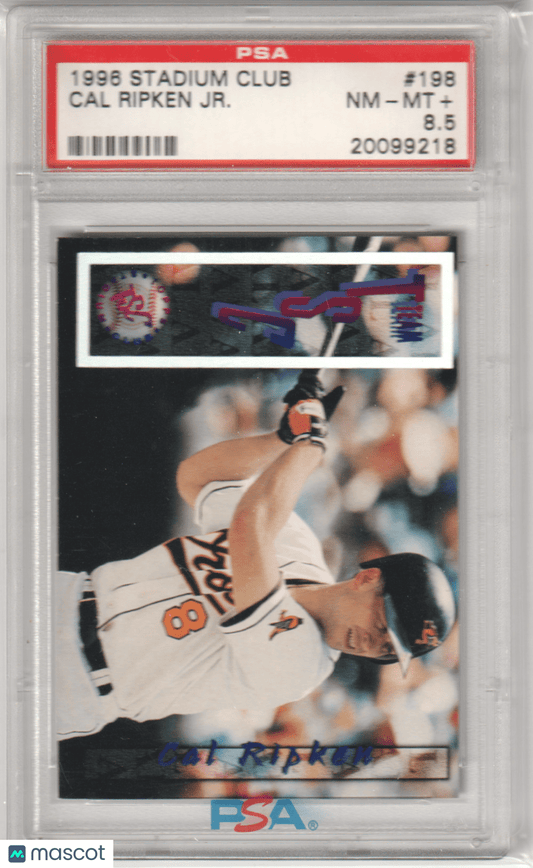 CAL RIPKEN JR. 1996 Topps Stadium Club 198 PSA 8.5 NM - MT+ - ORIOLES - Columbia Hobby - Sports Card Boxes - Toploaders - Card Savers